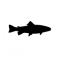 weakcondition's Avatar