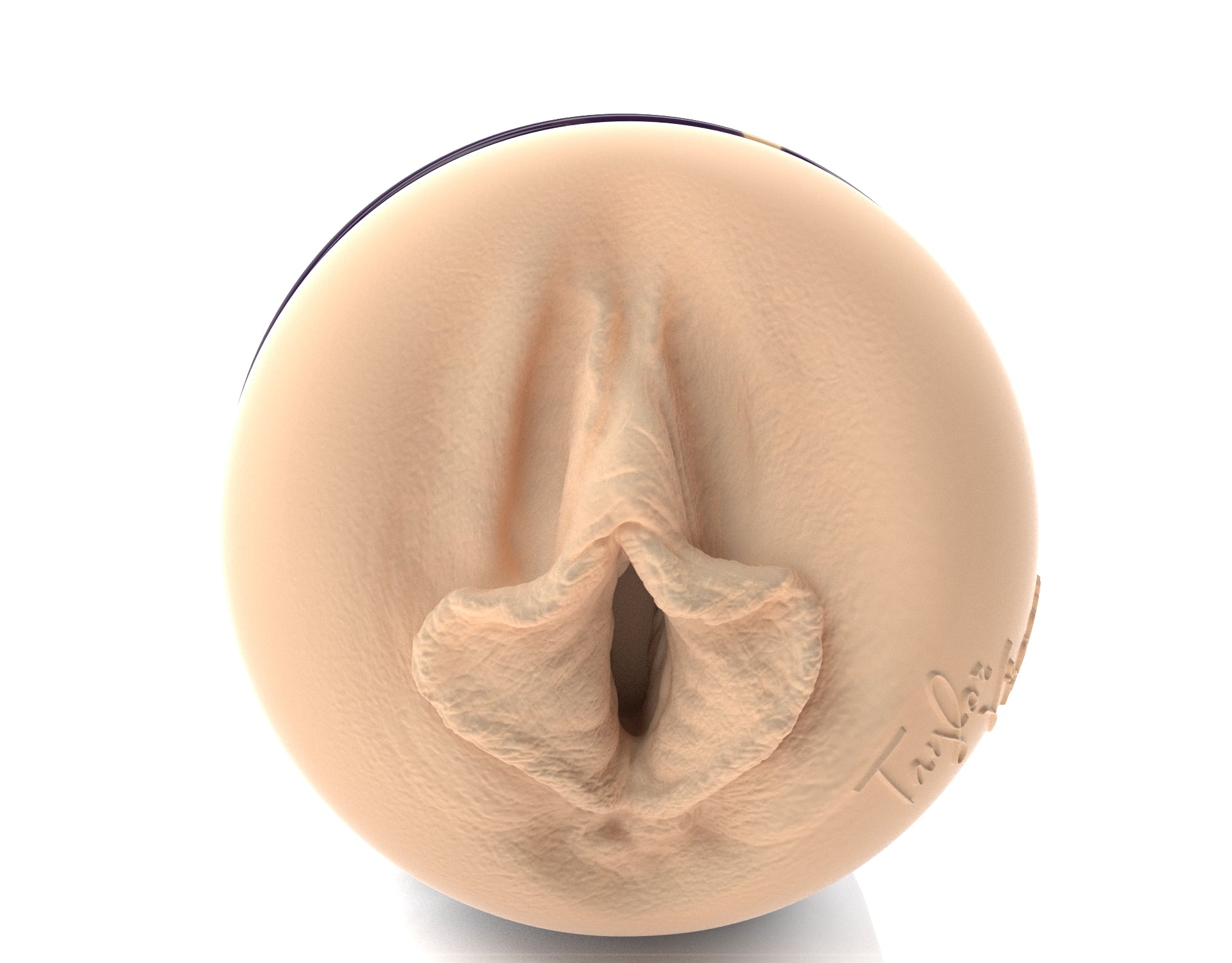 Fleshlight Taylor Vixxen Fleshlight Pussy Case