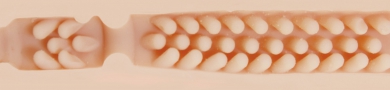 Pink Butt Barracuda Texture Image