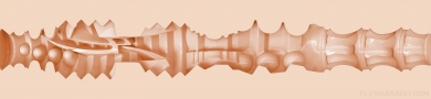 Chaos Texture Image