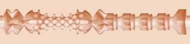 Cupcake Texture Image
