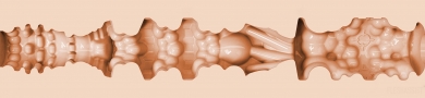 Headshot Texture Image