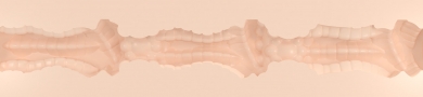 Hentaied Parasite Texture Image