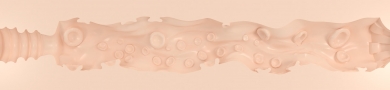 Hentaied Tentacle Texture Image