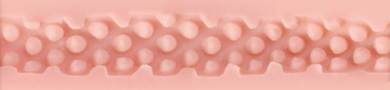 Mini-Stamina (SIAC) Texture Image