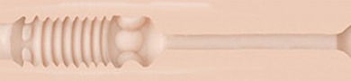 Mini-Swallow Texture Image