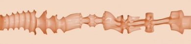 Serotonin Texture Image