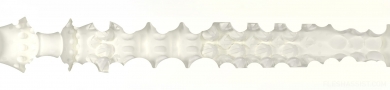 X3 2026 Texture Image
